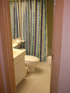 Guest bath