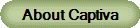 About Captiva